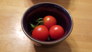 tomato still life small