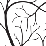 White background; black silhouette of tree branches without leaves, clearly clipped from a larger image