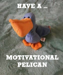 a stuffed pelican toy surrounded by text [Have a ... motivational pelican]